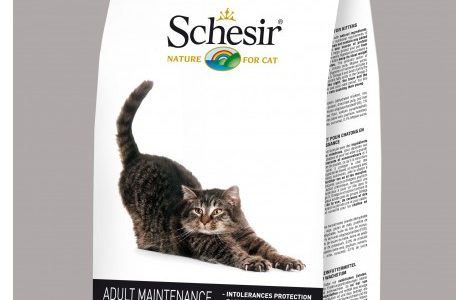 Crocchette Schesir recensione crocchette gatti Crocchette Schesir