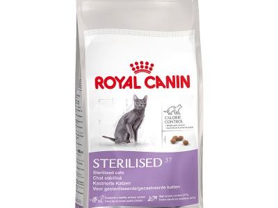 recensione delle Crocchette per gatto Royal Canin