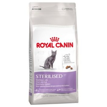 recensione delle Crocchette per gatto Royal Canin