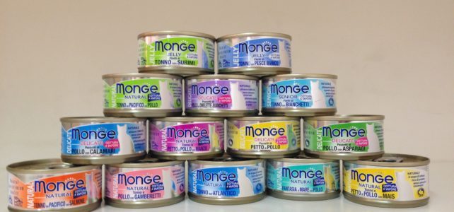 Monge Crocchette recensione Monge umido per gatti