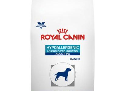 recensione crocchette per cani Royal Canin Hypoallergenic