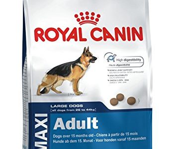 recensione crocchette per cani Royal Canin Maxi Adult