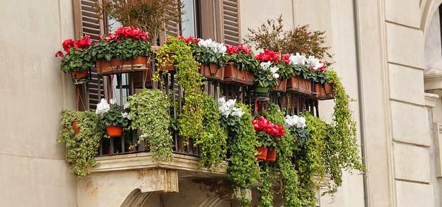 Balconi fioriti: ecco alcune idee sulle piante da scegliere fiori